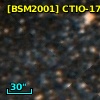 [BSM2001] CTIO-1795