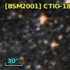[BSM2001] CTIO-1813