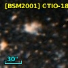 [BSM2001] CTIO-1878