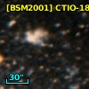 [BSM2001] CTIO-1881
