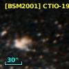 [BSM2001] CTIO-1919