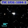 TYC 3731-1184-1