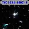 TYC 3731-1607-1