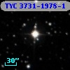 TYC 3731-1978-1