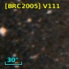 [BRC2005] V111