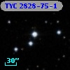 TYC 2828-75-1