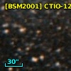 [BSM2001] CTIO-1250
