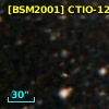 [BSM2001] CTIO-1253