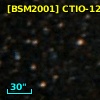 [BSM2001] CTIO-1295