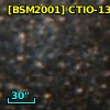 [BSM2001] CTIO-1321