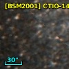 [BSM2001] CTIO-1419