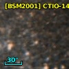 [BSM2001] CTIO-1463