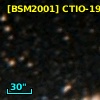 [BSM2001] CTIO-1966