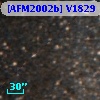 [AFM2002b] V1829