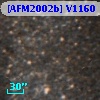 [AFM2002b] V1160