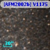 [AFM2002b] V1175