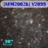 [AFM2002b] V2099