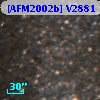 [AFM2002b] V2881