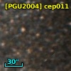 [PGU2004] cep011