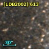 [LDB2002]  613
