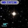 HD 237236