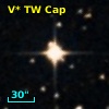 V* TW Cap