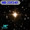 HD 237247
