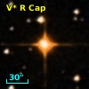 V* R Cap