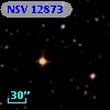 NSV 12873