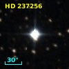 HD 237256
