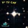 V* TY Cap