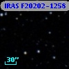 IRAS F20202-1258