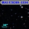 IRAS F20209-1334