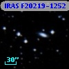 IRAS F20219-1252