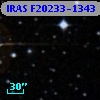 IRAS F20233-1343