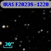 IRAS F20238-1220