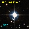HD 196310