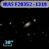 IRAS F20352-1318