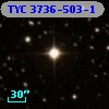 TYC 3736-503-1