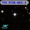 TYC 3736-665-1