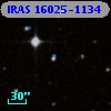 IRAS 16025-1134