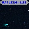IRAS 16293-1135