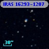 IRAS 16293-1207