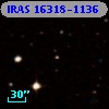 IRAS 16318-1136