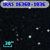 IRAS 16360-1036