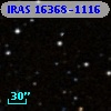 IRAS 16368-1116