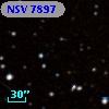 NSV  7897