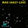 IRAS 16427-1243