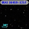 IRAS 16459-1257