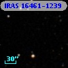 IRAS 16461-1239